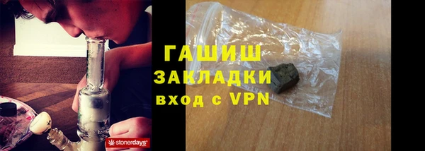 шишки Абаза