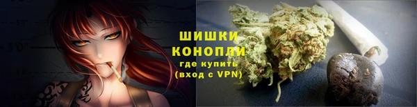 шишки Абаза