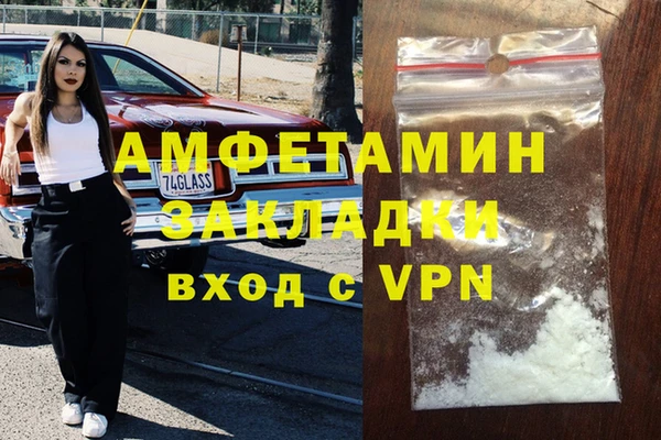 шишки Абаза