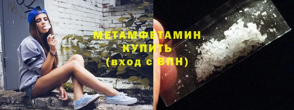 шишки Абаза