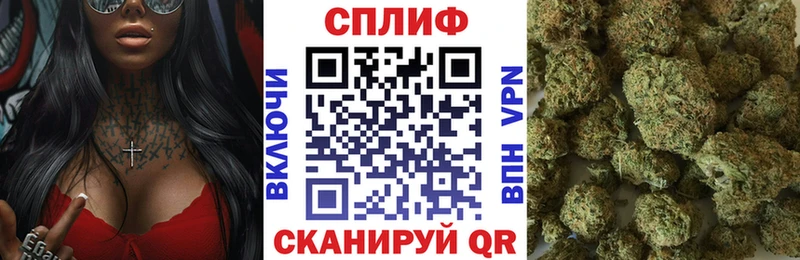 где найти Мирный Конопля LSD WEED